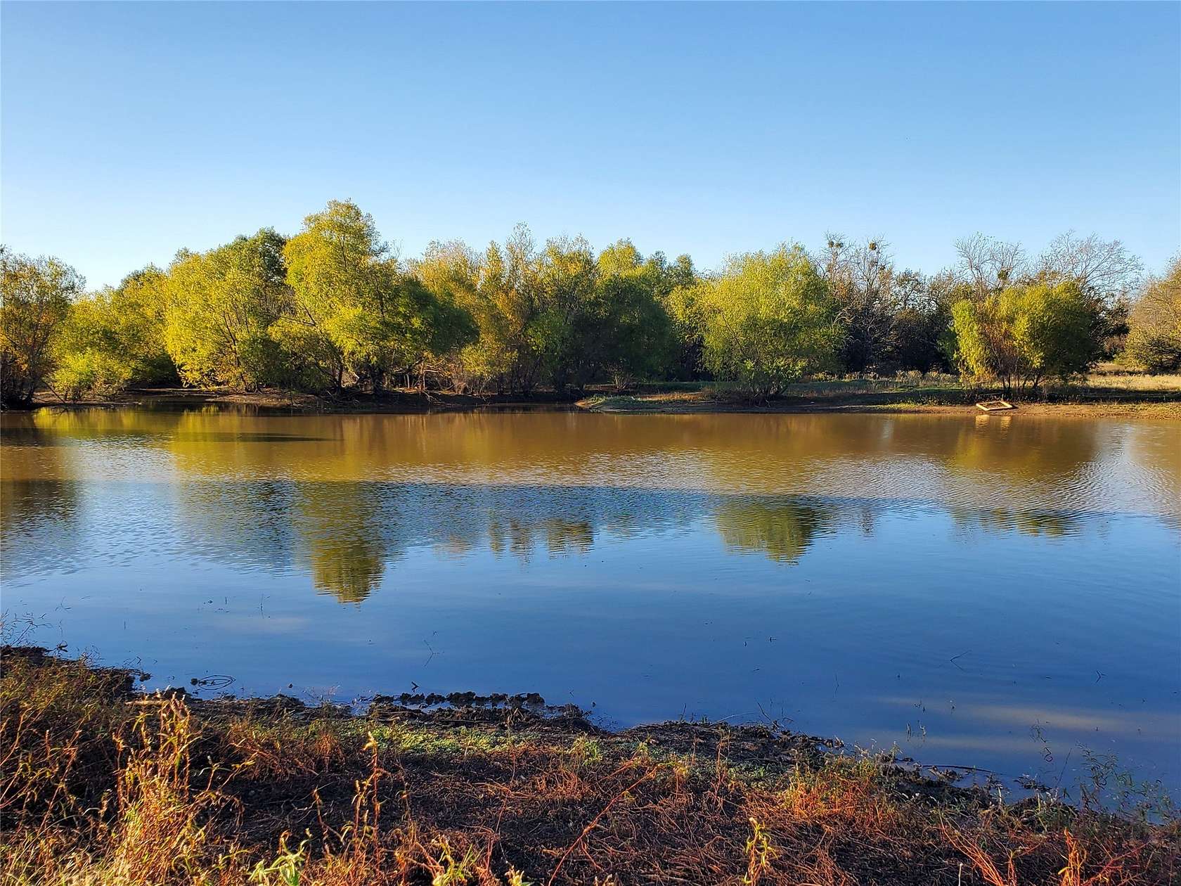 24.3 Acres of Land for Sale in Ivanhoe, Texas