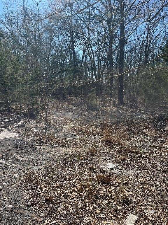 0.39 Acres of Land for Sale in Quinlan, Texas