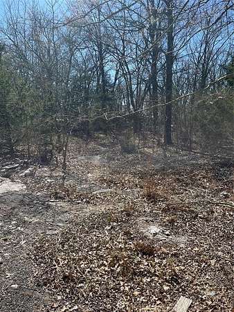 0.39 Acres of Land for Sale in Quinlan, Texas