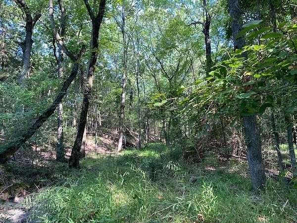 12.4 Acres of Land for Sale in Athens, Texas