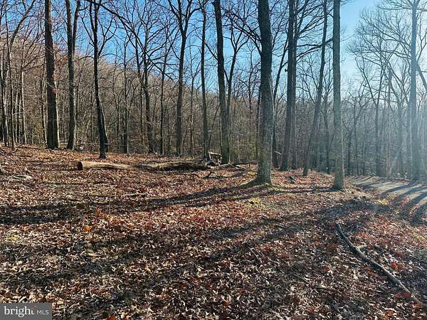6.1 Acres of Residential Land for Sale in Slanesville, West Virginia