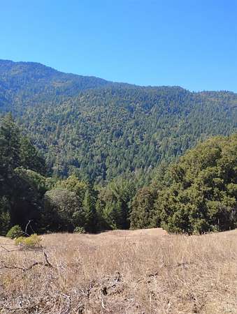 39.1 Acres of Land for Sale in Piercy, California