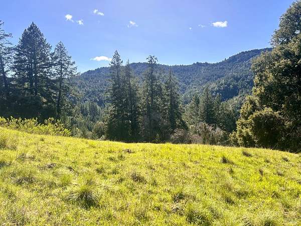 39.1 Acres of Land for Sale in Piercy, California