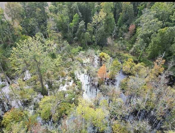 40 Acres of Recreational Land for Sale in Aubrey, Arkansas