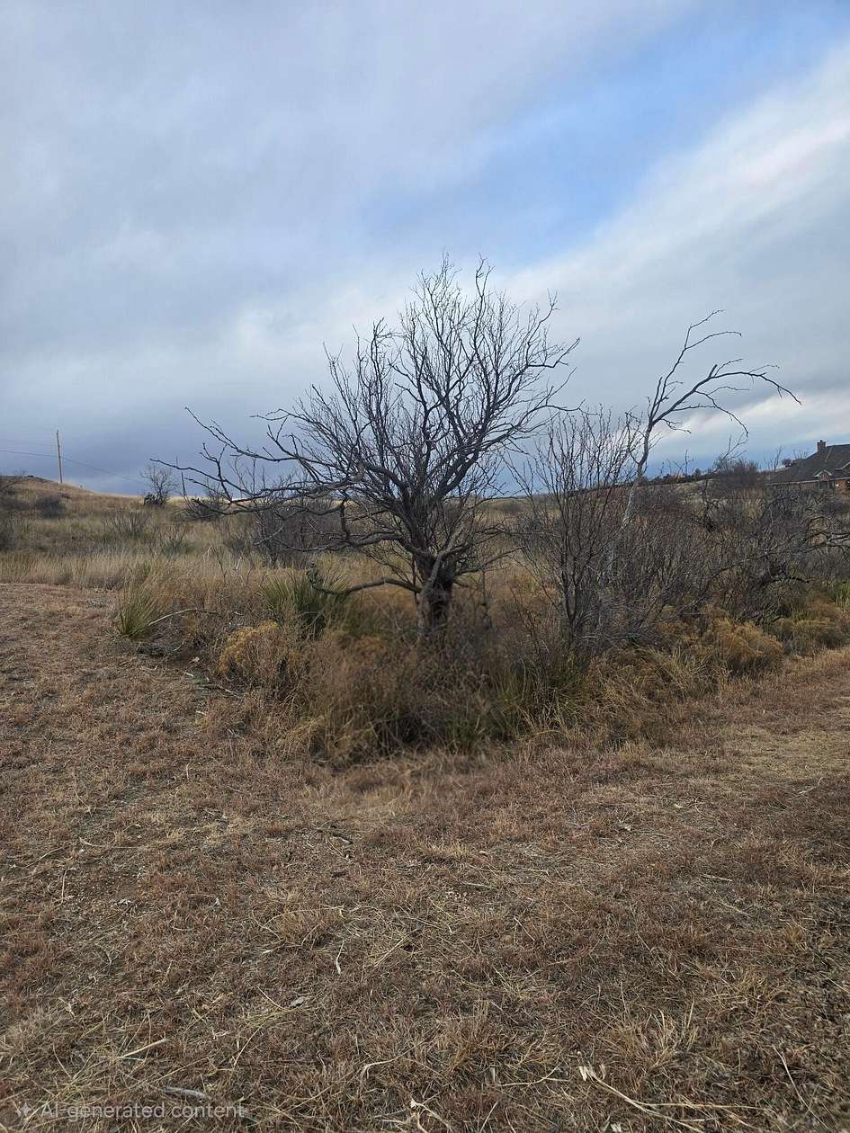 0.21 Acres of Land for Sale in Fritch, Texas