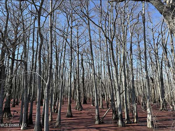 37 Acres of Recreational Land for Sale in Minter City, Mississippi