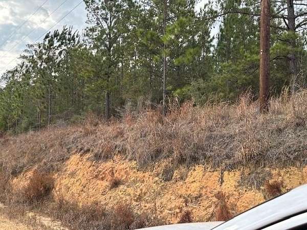 10 Acres of Recreational & Residential Land for Sale in Andalusia, Alabama