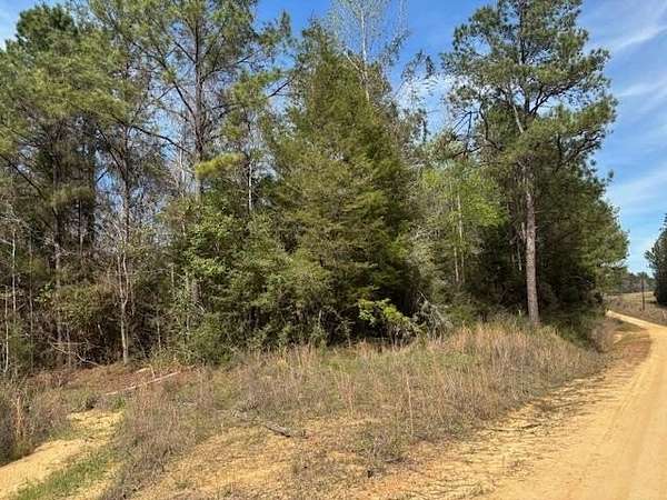 10 Acres of Recreational & Residential Land for Sale in Andalusia, Alabama