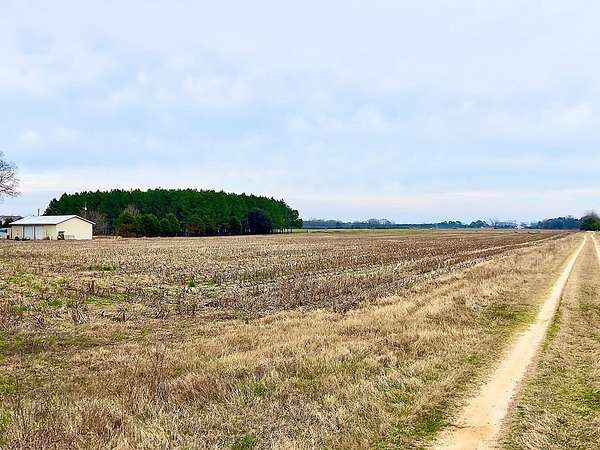 8 Acres of Residential Land for Sale in Headland, Alabama