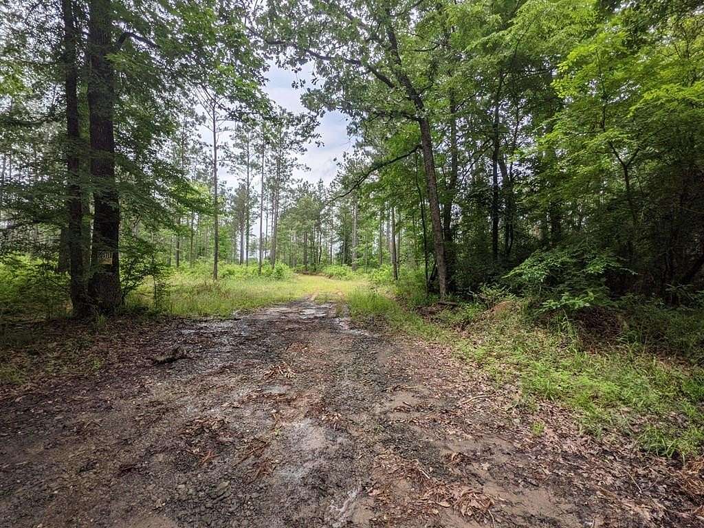 0.14 Acres of Land for Sale in Huntington, Texas