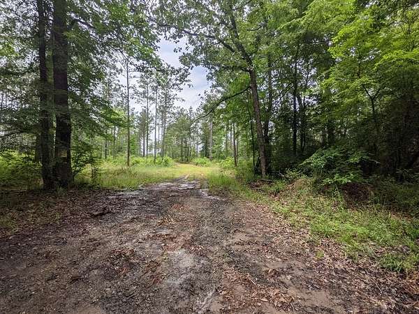 0.14 Acres of Land for Sale in Huntington, Texas