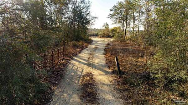 19 Acres of Land for Sale in Cantonment, Florida