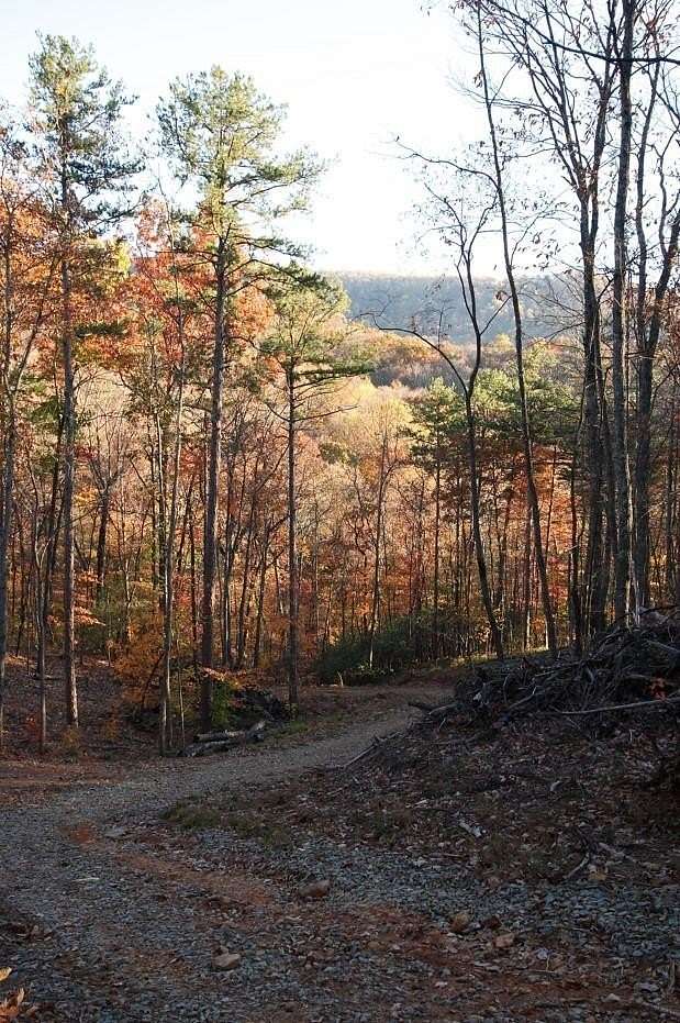 3.34 Acres of Residential Land for Sale in Ellijay, Georgia
