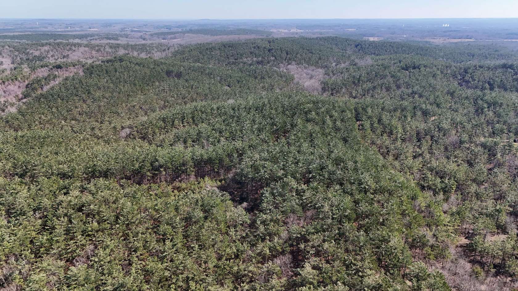 80 Acres of Recreational Land for Sale in Bruce, Mississippi