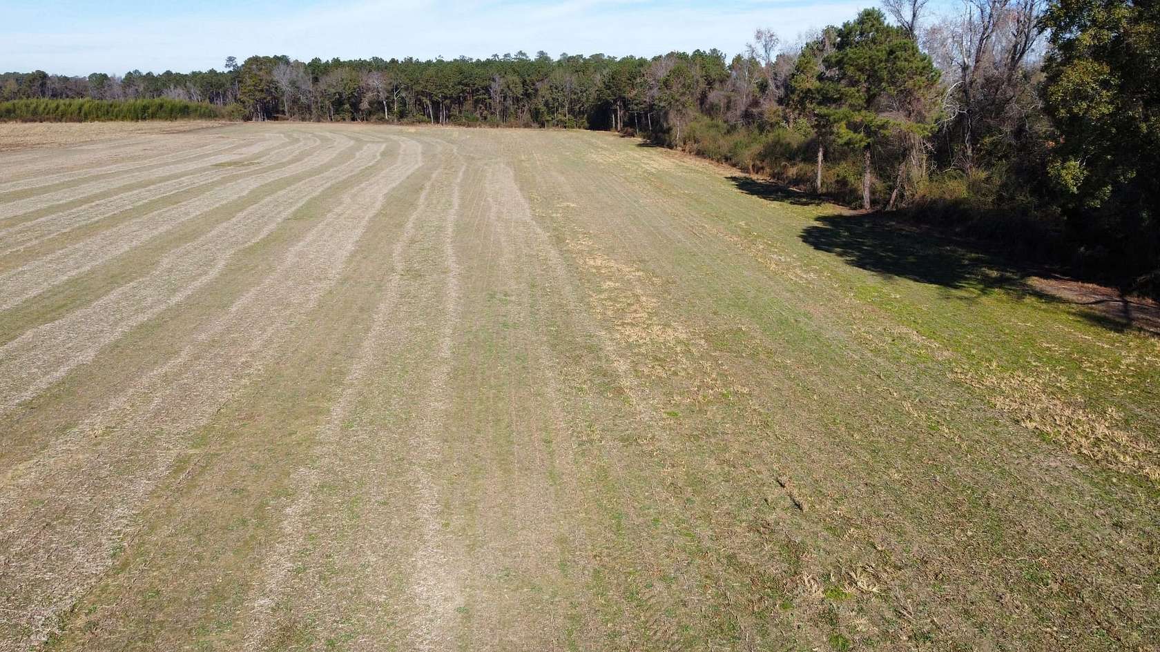 20.8 Acres of Land with Home for Sale in Nichols, South Carolina