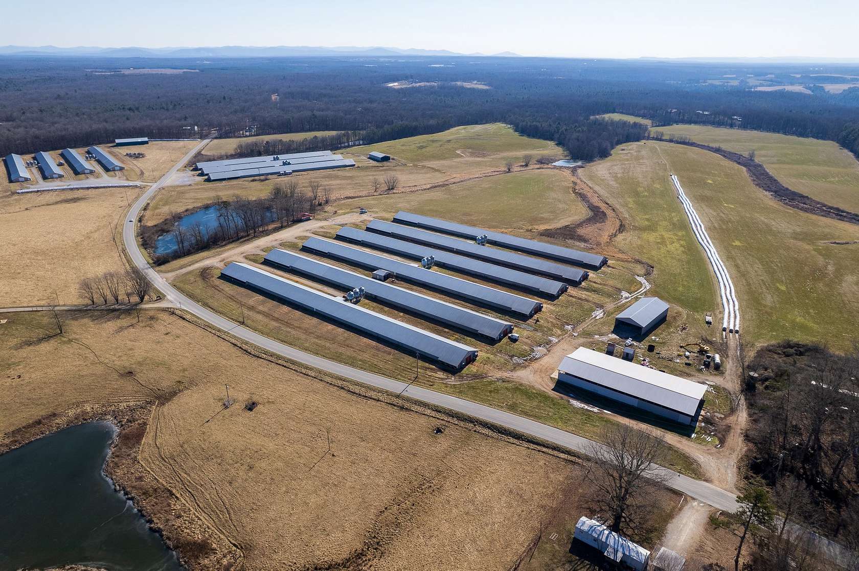 41 Acres of Agricultural & Residential Land for Sale in Jamestown, Tennessee