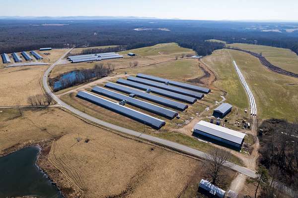 41 Acres of Agricultural & Residential Land for Sale in Jamestown, Tennessee