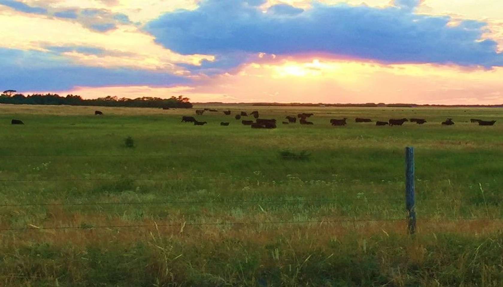 400 Acres of Land for Sale in Ewing, Nebraska