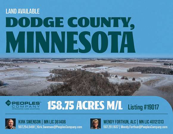 159 Acres of Land for Sale in Mantorville, Minnesota