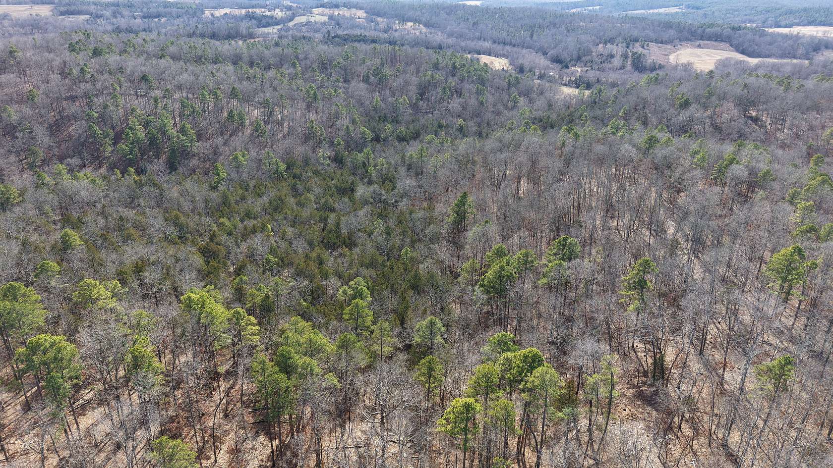 120 Acres of Land for Sale in Wideman, Arkansas