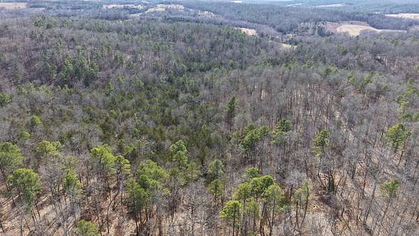 120 Acres of Land for Sale in Wideman, Arkansas