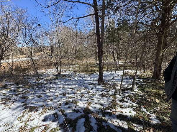 56.8 Acres of Land for Sale in Treadway, Tennessee