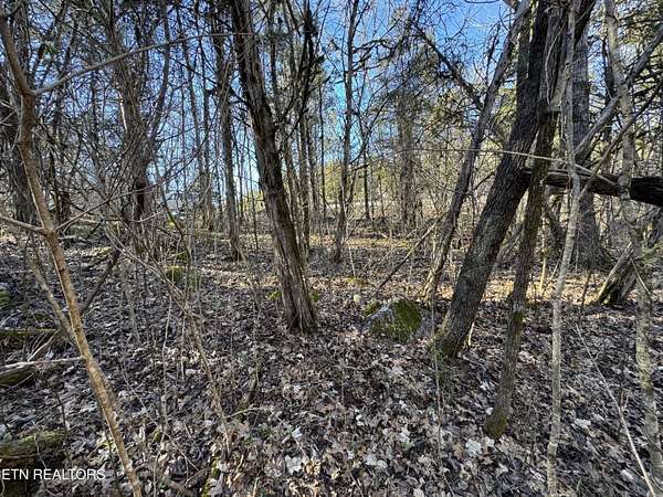 56.8 Acres of Recreational Land for Sale in Treadway, Tennessee