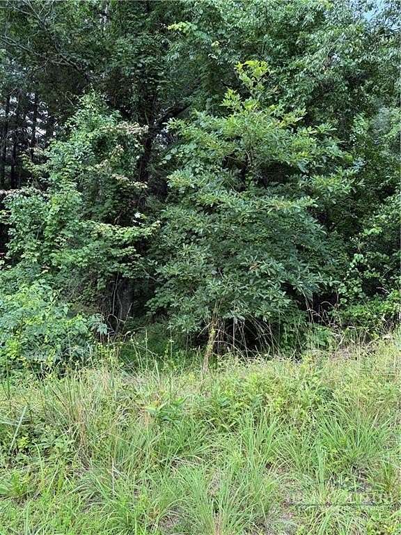 0.62 Acres of Residential Land for Sale in Sparta, North Carolina