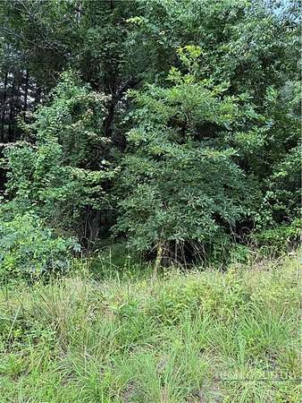 0.62 Acres of Residential Land for Sale in Sparta, North Carolina