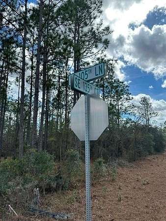 0.25 Acres of Residential Land for Sale in Dunnellon, Florida