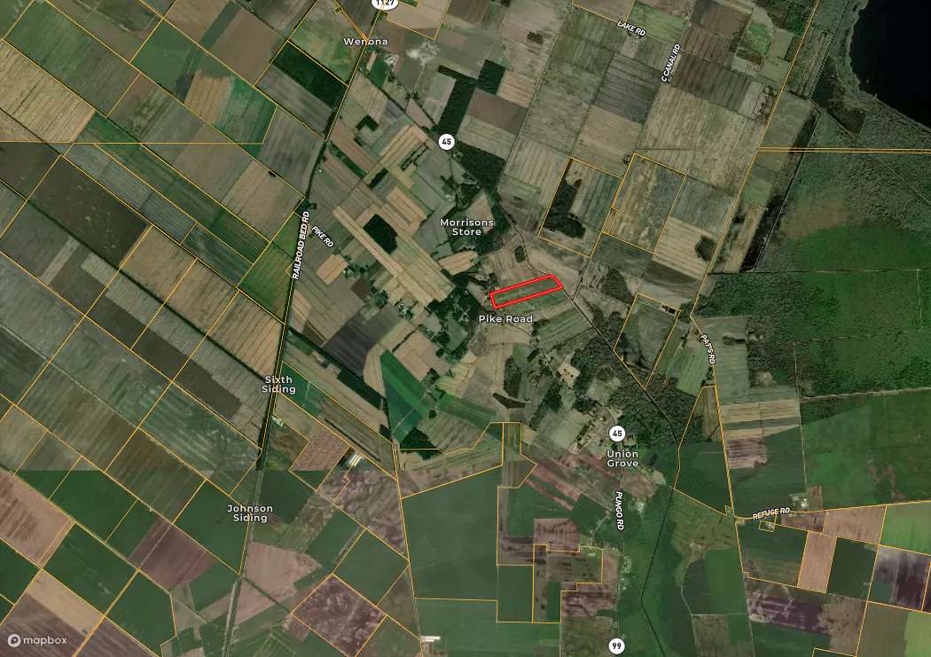 47 Acres of Agricultural Land for Sale in Pantego, North Carolina