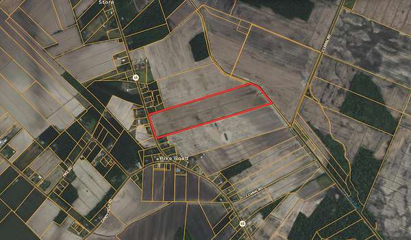 47 Acres of Agricultural Land for Sale in Pantego, North Carolina