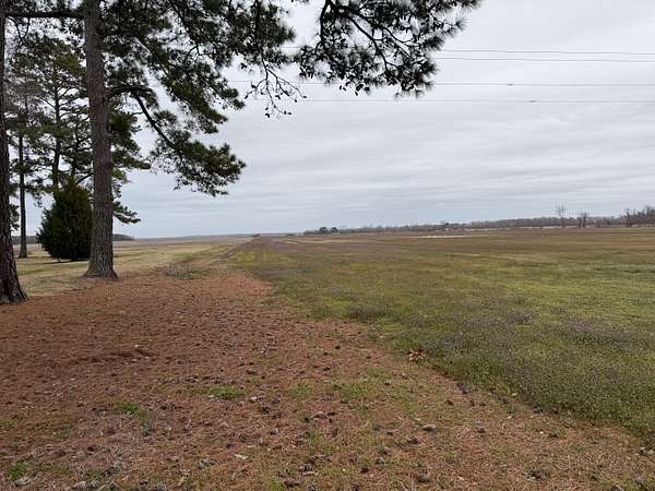 47 Acres of Agricultural Land for Sale in Pantego, North Carolina