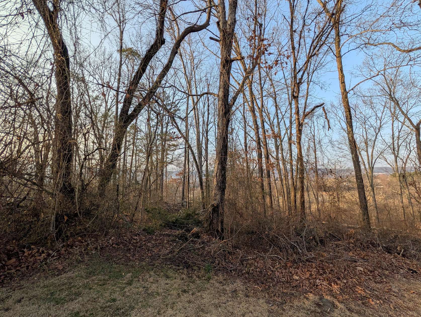 0.41 Acres of Residential Land for Sale in Rockwood, Tennessee