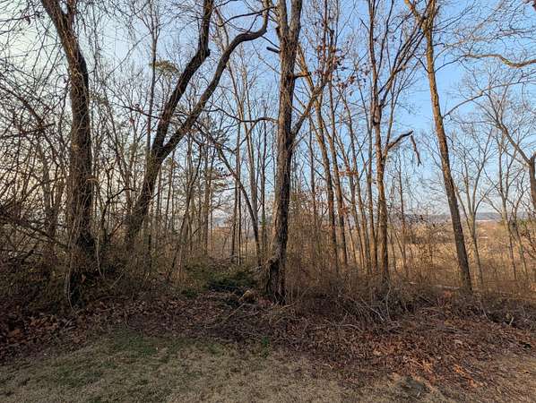 0.41 Acres of Residential Land for Sale in Rockwood, Tennessee
