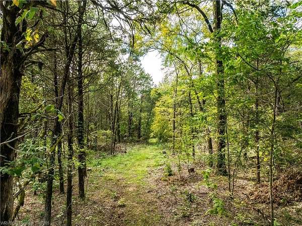 10 Acres of Recreational & Residential Land for Sale in Chester, Arkansas