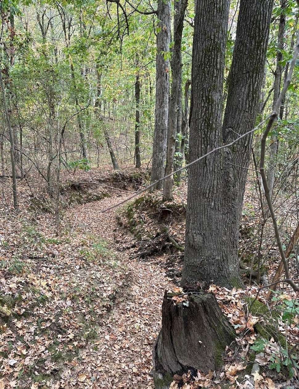 3 Acres of Residential Land for Sale in Bono, Arkansas