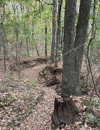 3 Acres of Residential Land for Sale in Bono, Arkansas