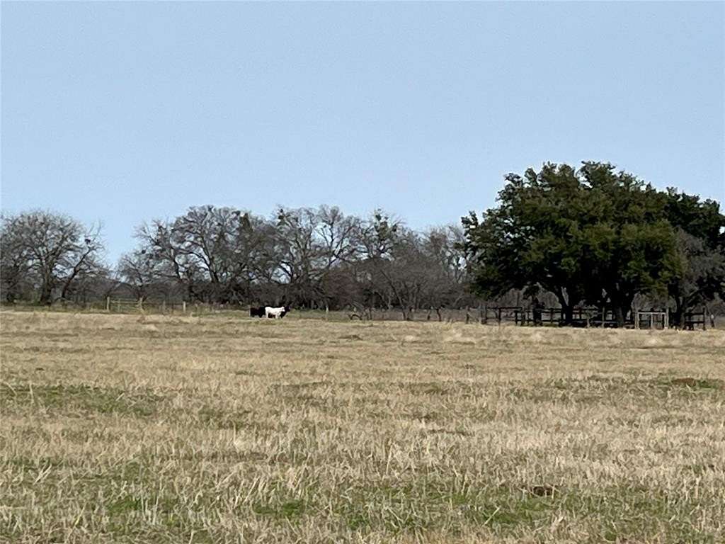 19 Acres of Agricultural Land for Sale in Blooming Grove, Texas
