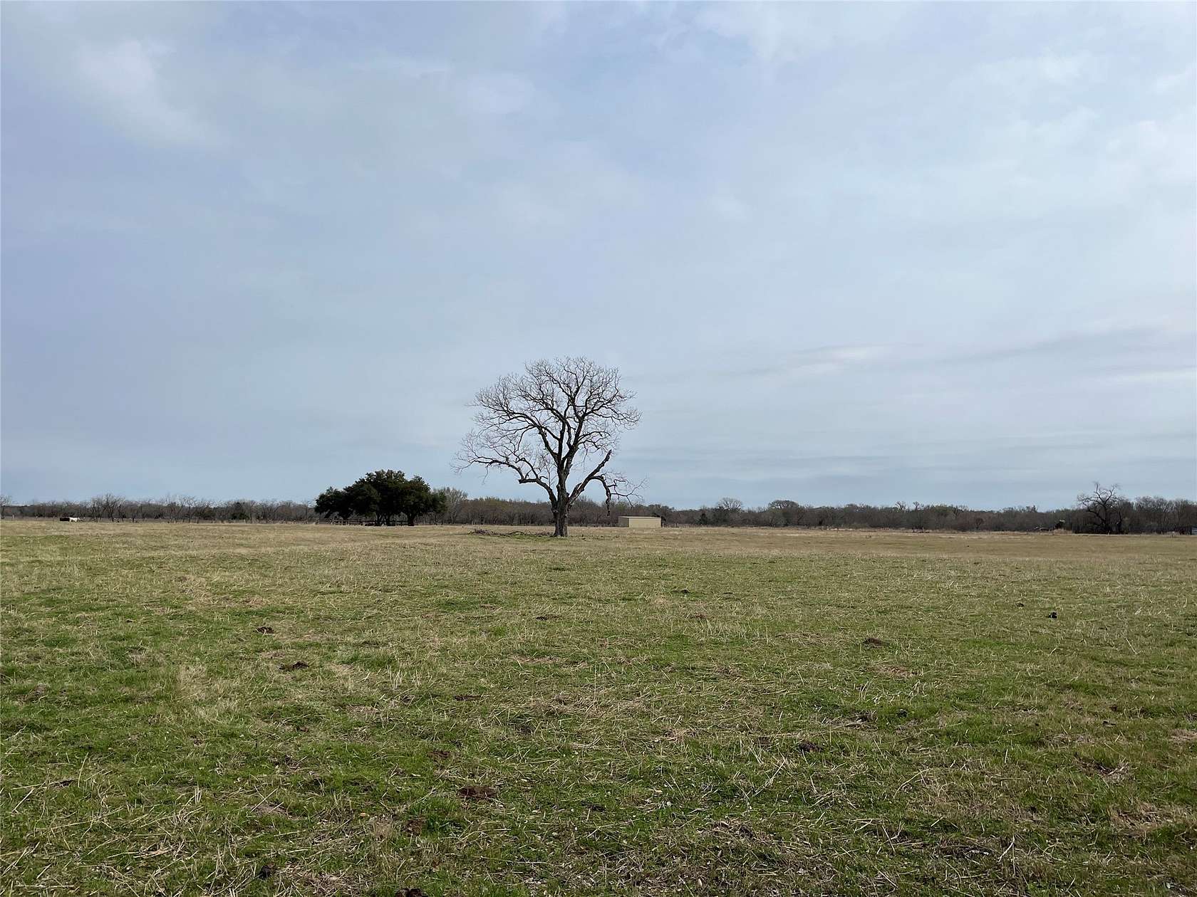19 Acres of Land for Sale in Blooming Grove, Texas