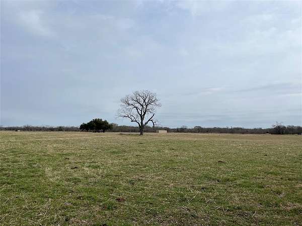 19.2 Acres of Agricultural Land for Sale in Blooming Grove, Texas