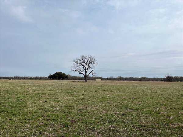19 Acres of Land for Sale in Blooming Grove, Texas
