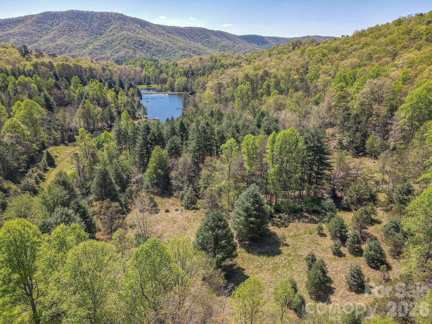 110 Acres of Land for Sale in Horse Shoe, North Carolina