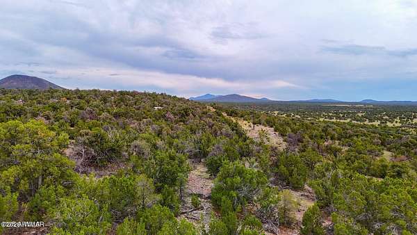 1 Acre of Residential Land for Sale in Williams, Arizona