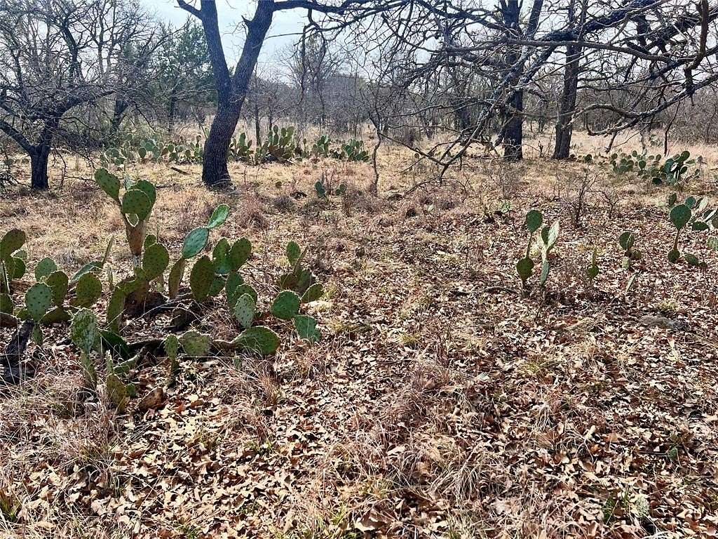0.16 Acres of Land for Sale in Brownwood, Texas