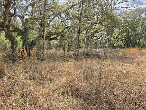 0.8 Acres of Residential Land for Sale in Webster, Florida