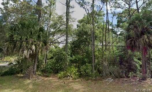 1 Acre of Mixed-Use Land for Sale in Inglis, Florida