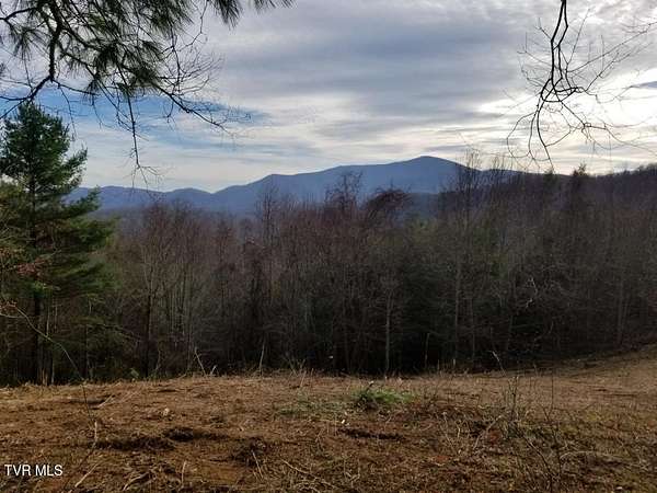 15 Acres of Recreational & Residential Land for Sale in Roan Mountain, Tennessee