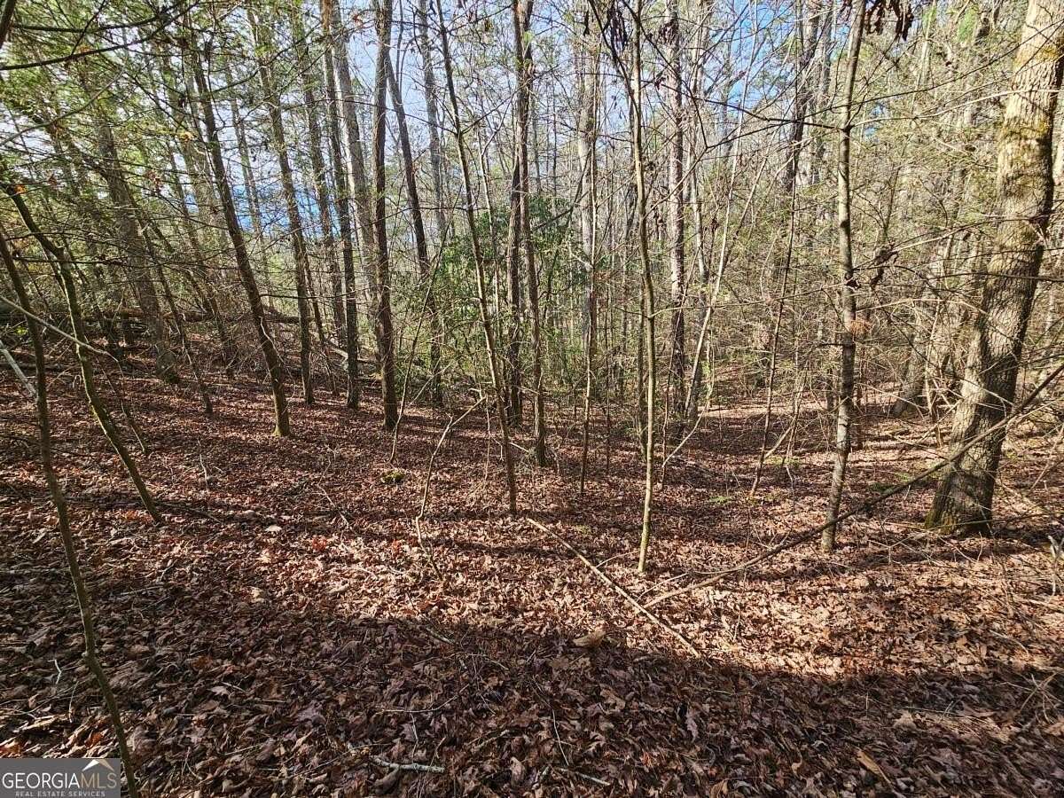 1.18 Acres of Land for Sale in Ellijay, Georgia