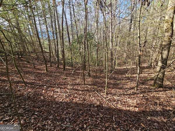 1.18 Acres of Land for Sale in Ellijay, Georgia